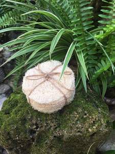 Éponge de loofah séchée à base végétale, exfoliant de bain de qualité supérieure, éponge naturelle en forme de gourde pour le corps, vente en gros, pour le lavage domestique - Product Image 6