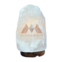 Lampe en sel rose de l'Himalaya 100% naturelle, sculptée à la main, emballée dans une boîte en carton, haute qualité, certifiée ISO, pour la décoration de la maison, fabricant