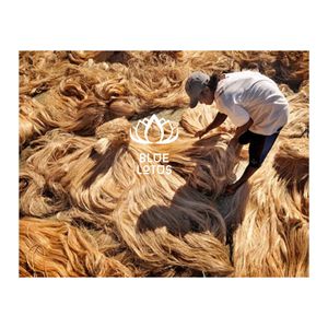 Fibra de Plátano Natural Pura de Alta Calidad |   Venta al por Mayor de Fibra Vegetal Ecológica y Sostenible - Product Image 1