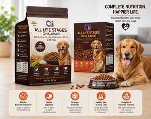 Alimento Completo Premium para Perros y Gatos, Ingredientes Orgánicos, Alto en Proteínas, Nutrición Equilibrada, OEM, ODM, Marca Privada, Venta al Por Mayor - Product Image 5