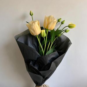 Carta Velina Nera Senza Acidi 20x14 Pollici, Confezione da 140 Fogli per Sacchetti Regalo e Decorazioni per Feste - Product Image 1