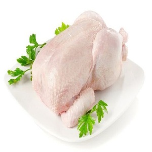 Compre Pollo Congelado de la Mejor Calidad, Grado Alimenticio, 10 kg, 25 Toneladas, Entrega en 15 Días, Pollo Entero Procesado en Stock - Product Image 1