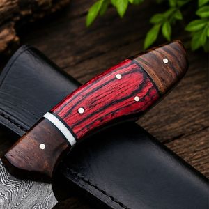 Couteau de chasse artisanal en acier Damas, personnalisé, pour le camping en plein air, manche en bois, étui en cuir, longueur totale de 12 pouces, lame à pointe clip. - Product Image 4