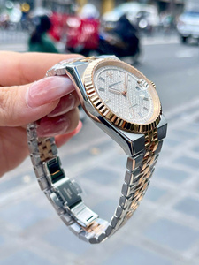 Reloj Redondo Alexander Ferros 8272D/022 con Cierre Plegable de Zafiro, Acero Inoxidable, Resistente al Agua, Mecánico y Automático - Product Image 2