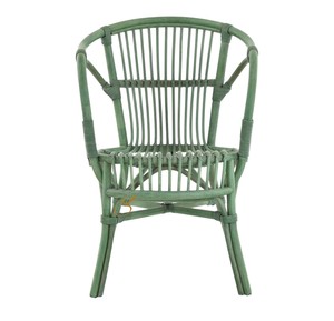 Chaise de salle à manger en rotin vert tropical de luxe avec accoudoirs, fauteuil en osier artisanal pour restaurant haut de gamme, café, boutique de meubles - Product Image 5
