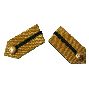 Insignia de Dubái con Detalles de Trenza Dorada y Ribete Verde, Parche de Hoja Dorada de Calidad Superior, Insignias de Cuello de Gorget - Product Image 1