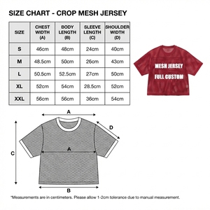 Custom Logo <b>Polyester</b> Breathable Tshirt Men's Mesh Football Jersey Boxy Fit Tee Screen Printing <b>T</b> <b>Shirt</b> for Men and women - Product Image 3