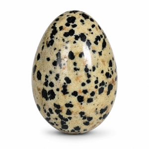 Pierre de jaspe dalmatien naturel polie en forme d'œuf, pierre précieuse de guérison, pierre décorative pour la méditation Reiki et la décoration intérieure - Prix de gros - Product Image 1