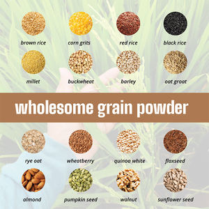 Marque privée Poudre de protéines complètes végétaliennes Meilleur complément pour la nutrition à l'avoine quantité minimale de commande à base de graines de qualité alimentaire Sac emballé de 1kg - Product Image 2