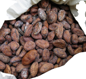 Granos de <span class=keywords><strong>Cacao</strong></span> Orgánicos Tostados y Secados al Sol en Bolsas de 50 kg, Marca Personalizada de Alemania, 2 Años - Product Image 5