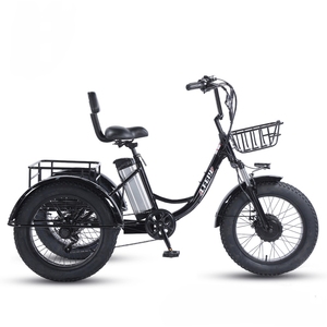 Tricycle électrique cargo à assistance au pédalage, pneus neige 20 pouces, batterie lithium 48V, moteur sans balais, frein à disque, 7 vitesses, cadre en acier, moyeu arrière - Product Image 3