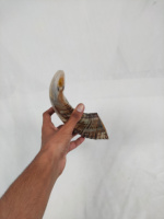 Corne de mouton naturelle, Shofar en corne de bélier, objet religieux animal, durable, de qualité supérieure, poli, artisanat, vente en gros