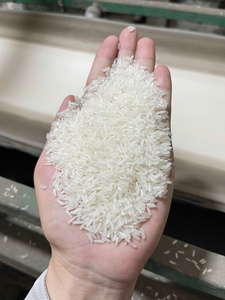 Fournisseur en gros de riz jasmin de haute qualité proposant du riz aromatique à grains longs pour les marchés internationaux - Product Image 2