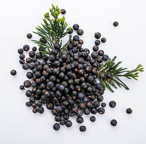Bayas de Juniper de Nueva Temporada, Servicio OEM de Empaquetado, Calidad Premium para Marca Privada, Venta al Por Mayor, Orgánicas, Naturales, Secas - Product Image 6