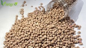 VGF NPK Amino 15-5-20+TE - Engrais composé - Engrais granulaire - Couleur : Brun - 50KG - OEM - Product Image 2