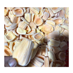 Jackfruit congelé d'origine vietnamienne, qualité supérieure, fruit tropical, vente en gros en vrac - Product Image 3