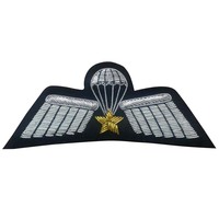 Écusson brodé RAF en forme d'ailes, à coudre, badge uniforme en tissu, forme irrégulière personnalisée, applique tactique pour vêtement