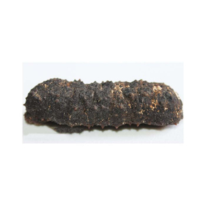 Concombre noir entier congelé de haute qualité à prix avantageux en gros - Product Image 2