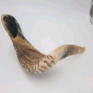 Chupete de Cuerno de Búfalo Ecológico Premium, Duradero, Natural, para Perros Activos - Product Image 5