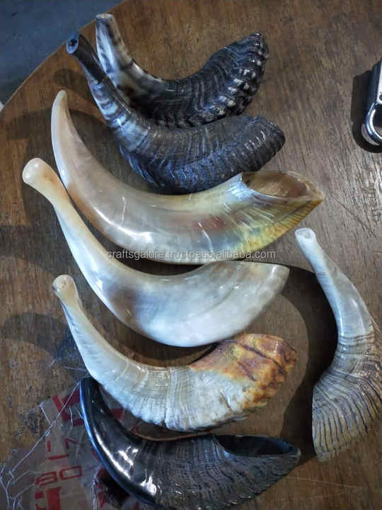 Kosher Kudu Shofar Horn From Israel Traditional Handcrafted in India Your Kosher Shofar Wholesale Israeli Shofar