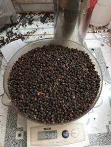 Pimienta Negra Entera Seca Cruda, Especia de Una Sola Hierba, Condimento, Origen: Provincia de Dong Nai, Vietnam del Sur, TECHMIFOOD, 1 Año de Vida Útil - Product Image 1