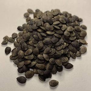 Export Quality Factory In Vietnam Competitive Price Selected Dried Passion Fruit <b>Seeds</b> <b>Packed</b> in 1kg Bag - Product Image 6