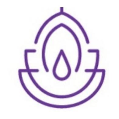 Natyral Albanian Flavour &Taste B.V logo