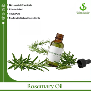 Pure <b>Rosemary</b> Essential <b>Oil</b> Export Supplier Offering High Quality Bulk <b>Oil</b> for Global Cosmetics Personal Care Hair Care - Product Image 1