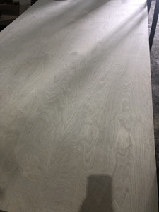 Contrachapado Comercial de Abedul para Interiores, Grado E0, 5–24 mm, para Muebles y Decoración - Product Image 5