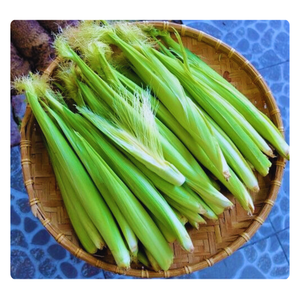 VENTE EN GROS BÉBÉ MAÏS CONGELÉ | FRAIS DE FERME ET PRÊT POUR L'EXPORTATION - Product Image 6