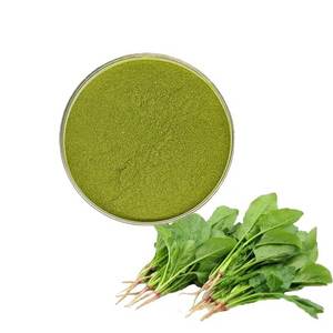 POLVO DE ESPINACAS NATURAL PURO, POLVO VEGETAL DESHIDRATADO ORGÁNICO PARA INGREDIENTES ALIMENTICIOS - Product Image 3