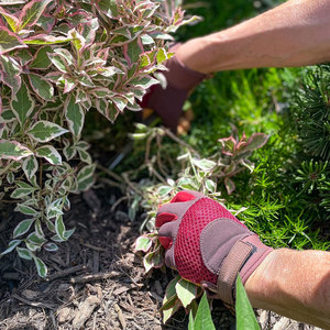 Guantes de Jardinería Premium para Hombre y Mujer, Mangas Extra Largas de Cuero Vacuno, Palmas Transpirables de Piel de Cabra, para Jardinería y Trabajo con Rosas - Product Image 4