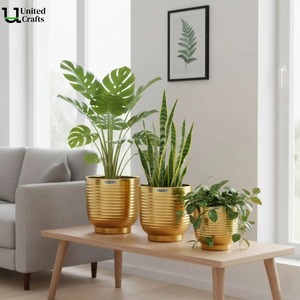 Macetas de Jardín Elegantes, Resistentes y Ecológicas con Recubrimiento de Polvo de Hierro para Pedidos al por Mayor y Exportación Global - Product Image 5