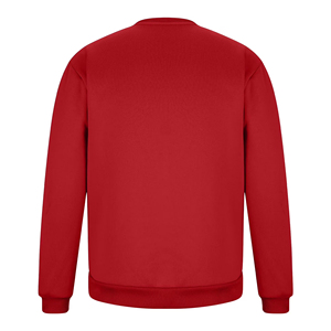Custom Logo Crew Neck Sweatshirt Premium Cotton Fleece Long Sleeve <b>Pullover</b> <b>Men</b> Women Casual Fashion OEM Clothing Manufacturer - Product Image 2