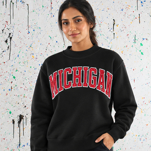 Pull col montant personnalisé du Michigan avec broderie de lettres grecques pour les fraternités, les sororités et les tenues universitaires - Product Image 1