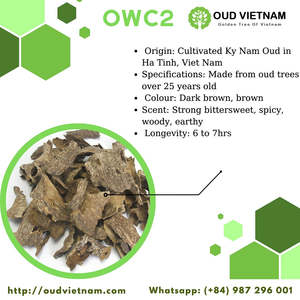 AA Plus Vietnam - Virutas de Agarwood Natural y Trozos de Oud al por Mayor para Importadores - Product Image 4