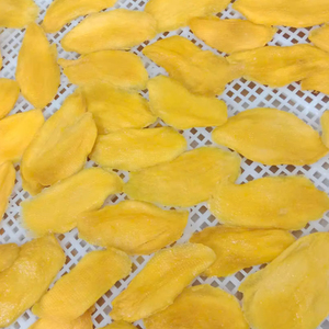 Fabricante Vietnamita Suministra Mango Deshidratado Suave Sin Azúcar Añadido, Snacks Saludables, Proveedor de Exportación de Fábrica - Product Image 1