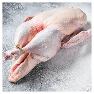 Halal Frozen Duck Export Quality Duck <b>Meat</b> Available in Bulk at Competitive Prices - Product Image 1