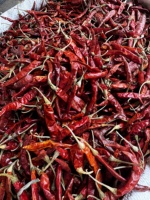 Piment rouge séché de haute qualité Dev Namo, forme allongée, épices naturelles, 500g, longue durée de conservation, Inde