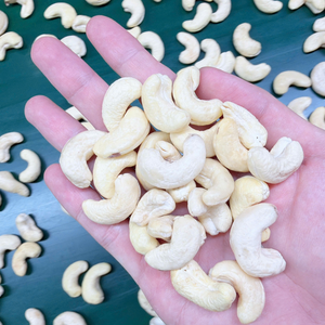 Listo para enviar: Nueces de cacho de la India SANTIGO (Kaju Badam) con plazo de entrega corto - Product Image 1