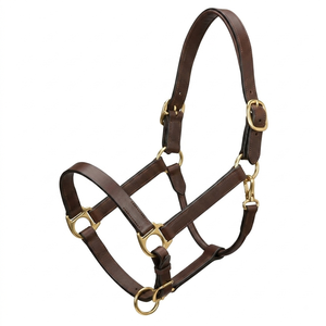 Durable Strong Black <b>Brown</b> <b>Tan</b> Genuine Leather Horse Halter in all custom Sizes and Colors with Solid Brass Fittings - Product Image 6