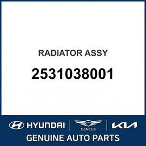Radiadores Nuevos para Grandeur/Azera 2531038001 - Product Image 1