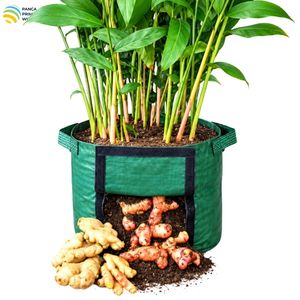 Sac de culture de rhizomes de haute qualité L en PEHD stabilisé aux UV avec fenêtre de récolte - Product Image 4