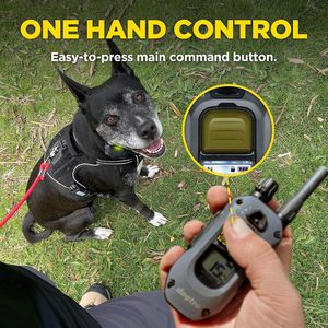 Dogtra 280X Remote <b>Dog</b> Training <b>E</b>-<b>Collar</b> with 1/2 Mile Range, LED Light and 100 Levels Control - Product Image 6