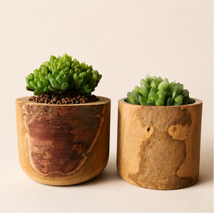 Maceta Artesanal de Madera Natural para Suculentas, Estilo Rústico con Corteza, Mini Maceta para Escritorio, Oficina y Decoración de Jardín Interior - Product Image 5