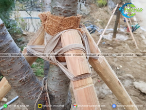 เทปใยมะพร้าวธรรมชาติที่แข็งแรง สำหรับพันต้นไม้และรองรับการเจริญเติบโตของต้นไม้รุ่นเยาว์ในสภาพภูมิประเทศกลางแจ้ง - Product Image 2