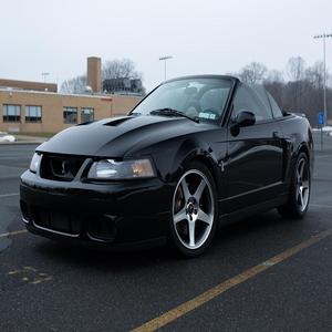 2003 F-o-r-d M-u-s-t-a-n-g S-V-T C-o-b-r-a Cabriolet - Product Image 1