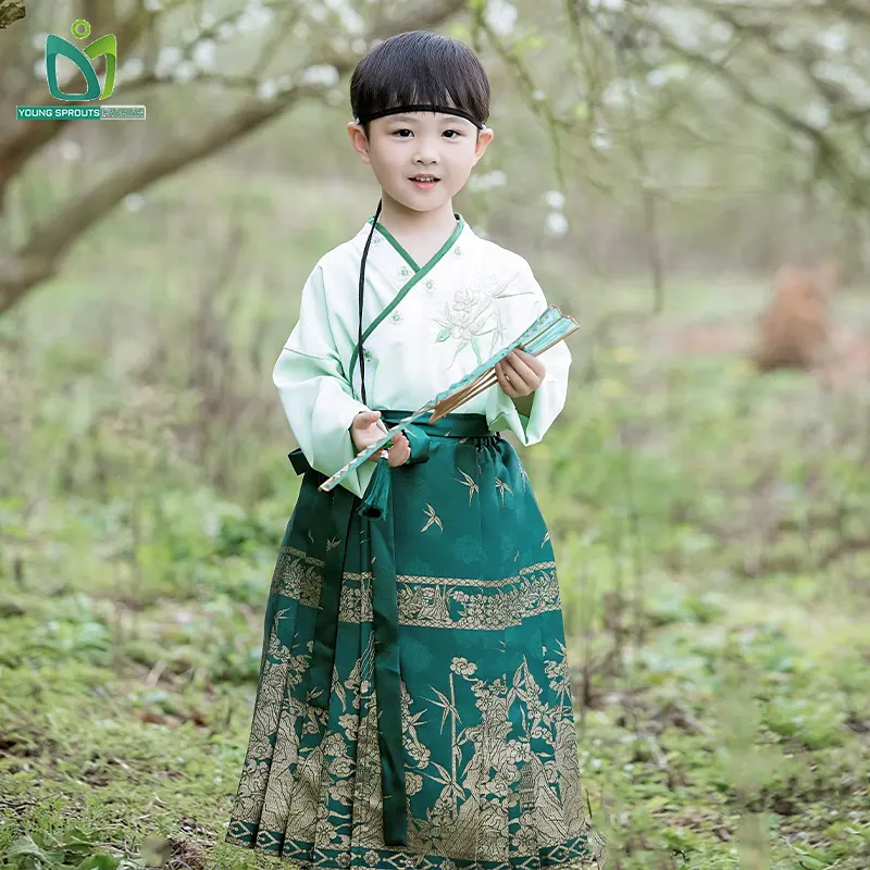 Elegantes formelles Kleid chinesische Mode Pferdegesichtsrock Ming-Stil Hanfu