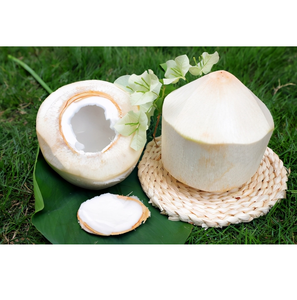 เพชรสด cocoonut ผลิตภัณฑ์ทางการเกษตรระดับพรีเมี่ยมสำหรับการทำให้สดชื่น - Product Image 3