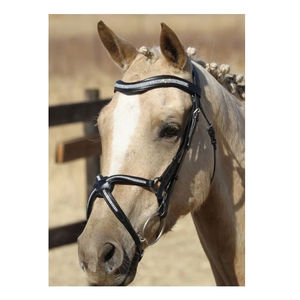 Bridon anglais pour chevaux avec élégante bande frontale, produits équestres de haute qualité, bridon pour chevaux cousu à la main sur mesure pour la course hippique - Product Image 6